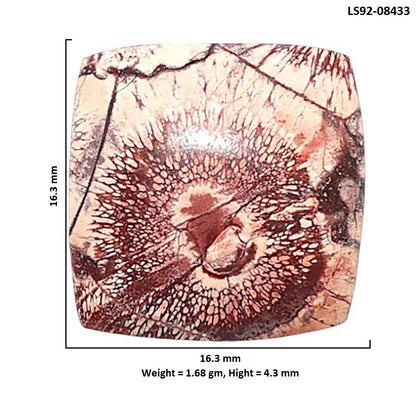 Mexican Bird Eye 16.3x16.3x4.3 mm Cushion Shape Polished Gemstone LS92-08433