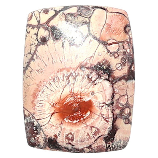 Mexican Bird Eye 14.5x19x4 mm Cushion Shape Polished Gemstone LS92-08435