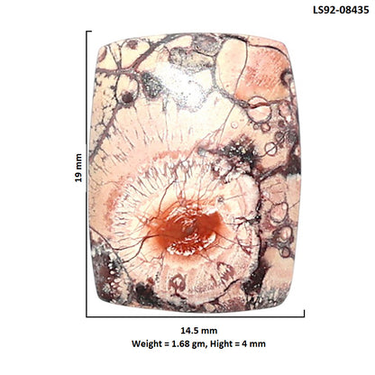 Mexican Bird Eye 14.5x19x4 mm Cushion Shape Polished Gemstone LS92-08435