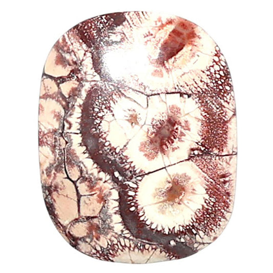 Mexican Bird Eye 14.6x18.5x3.5 mm Cushion Shape Polished Gemstone LS92-08438