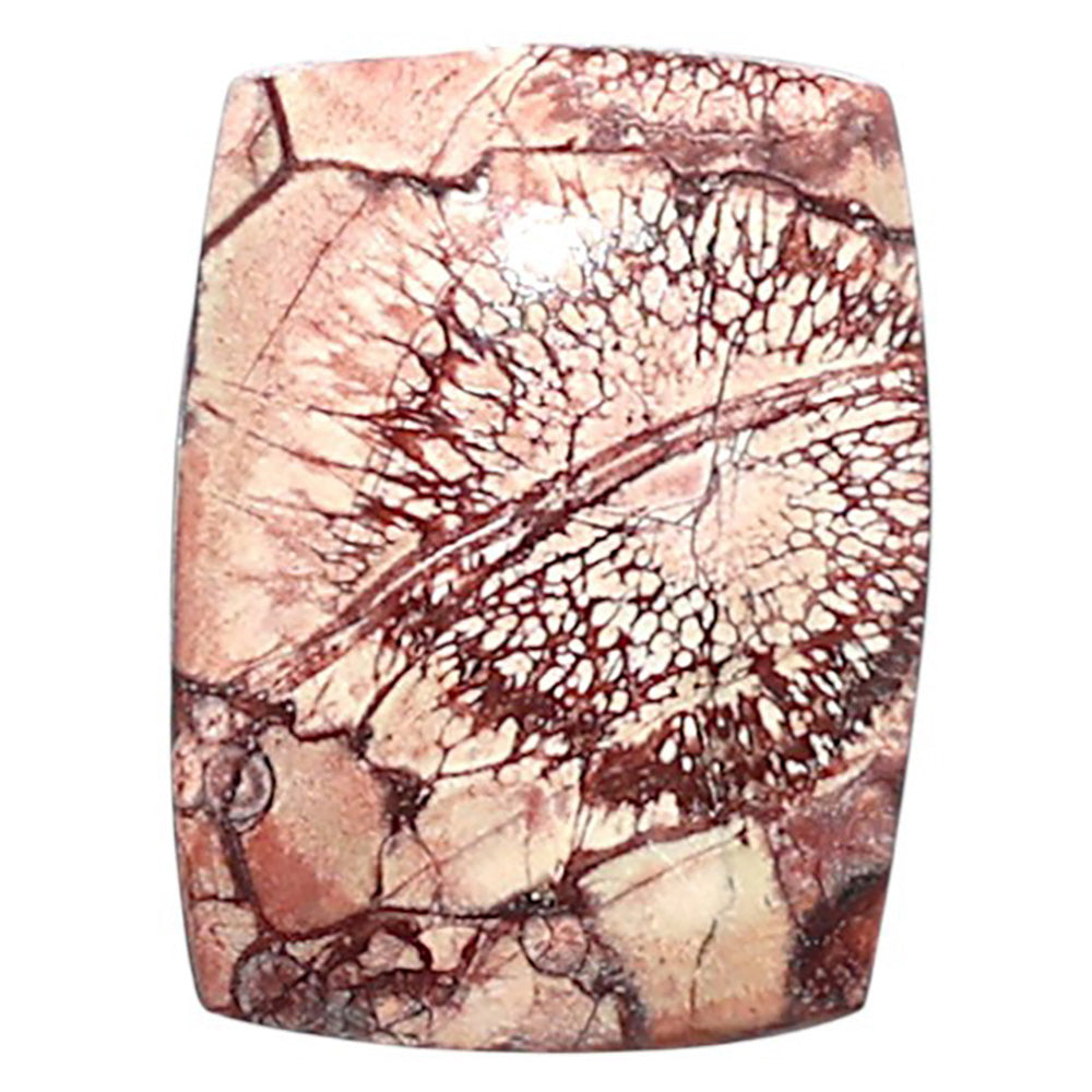 Mexican Bird Eye 13.4x17.8x4 mm Cushion Shape Polished Gemstone LS92-08439