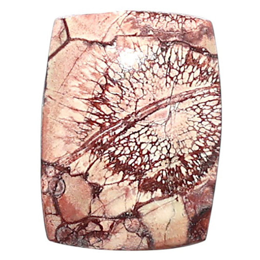 Mexican Bird Eye 13.4x17.8x4 mm Cushion Shape Polished Gemstone LS92-08439