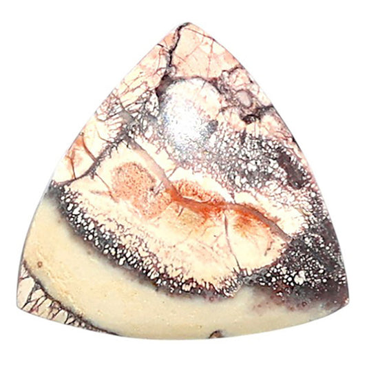 Mexican Bird Eye 18.5x18.5x4.3 mm Fancy Shape Polished Gemstone LS92-08440