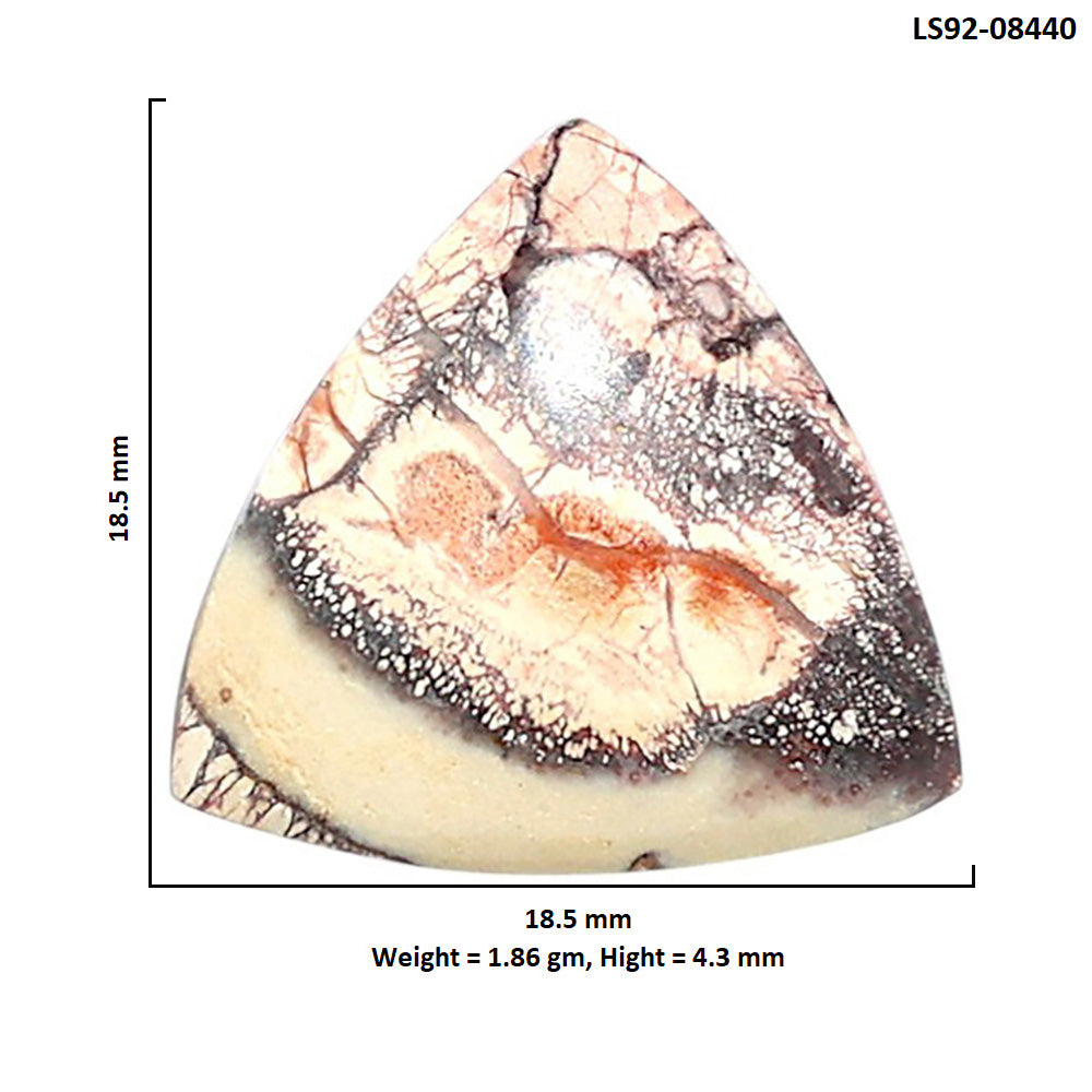 Mexican Bird Eye 18.5x18.5x4.3 mm Fancy Shape Polished Gemstone LS92-08440