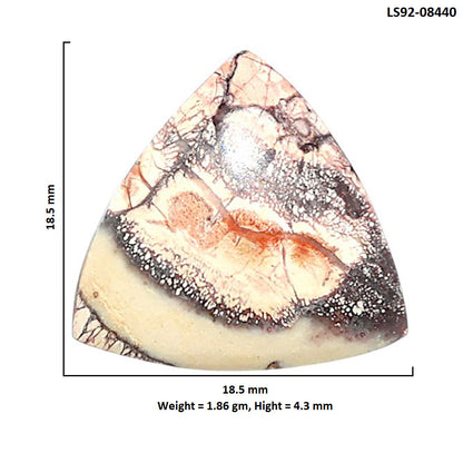 Mexican Bird Eye 18.5x18.5x4.3 mm Fancy Shape Polished Gemstone LS92-08440