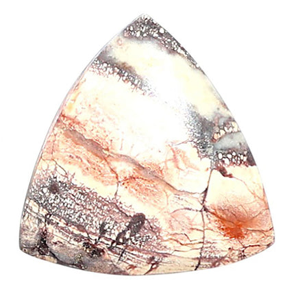 Mexican Bird Eye 18.5x19x4.4 mm Fancy Shape Polished Gemstone LS92-08442