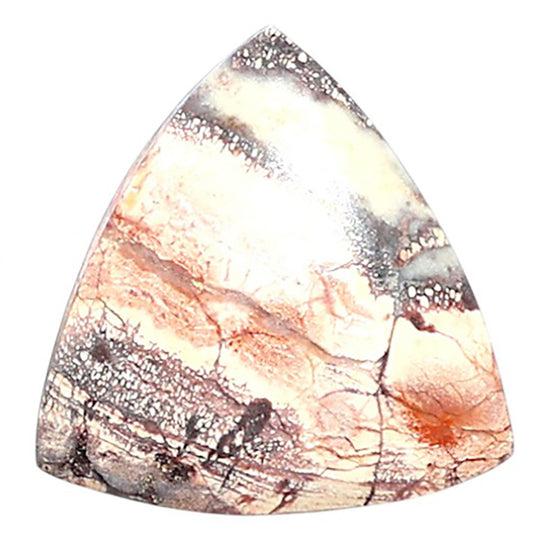 Mexican Bird Eye 18.5x19x4.4 mm Fancy Shape Polished Gemstone LS92-08442