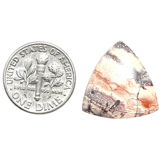 Mexican Bird Eye 18.5x19x4.4 mm Fancy Shape Polished Gemstone LS92-08442
