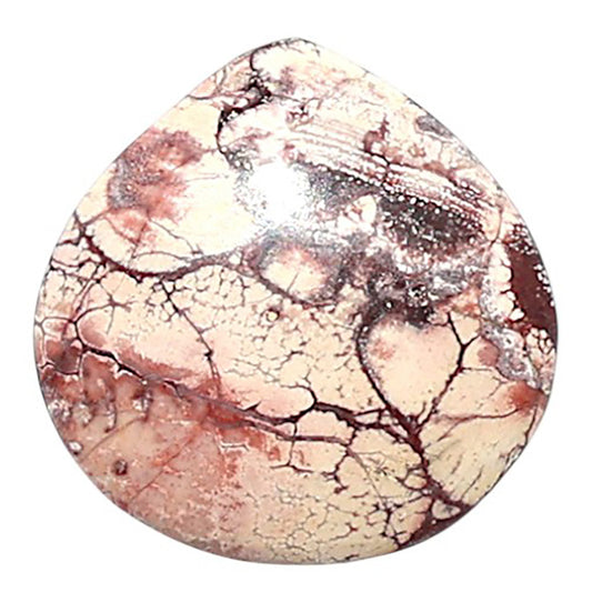 Mexican Bird Eye 17.1x17.1x3.7 mm Heart Shape Polished Gemstone LS92-08443