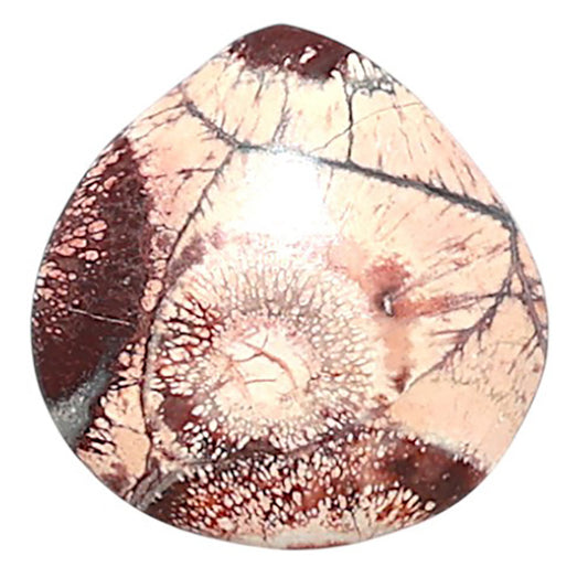 Mexican Bird Eye 15.7x16x3 mm Fancy Shape Polished Gemstone LS92-08444
