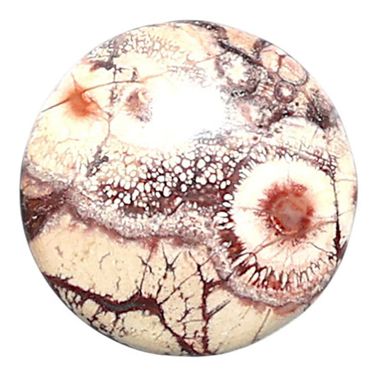 Mexican Bird Eye 16x16x4.5 mm Round Shape Polished Gemstone LS92-08445