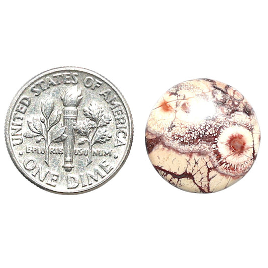 Mexican Bird Eye 16x16x4.5 mm Round Shape Polished Gemstone LS92-08445
