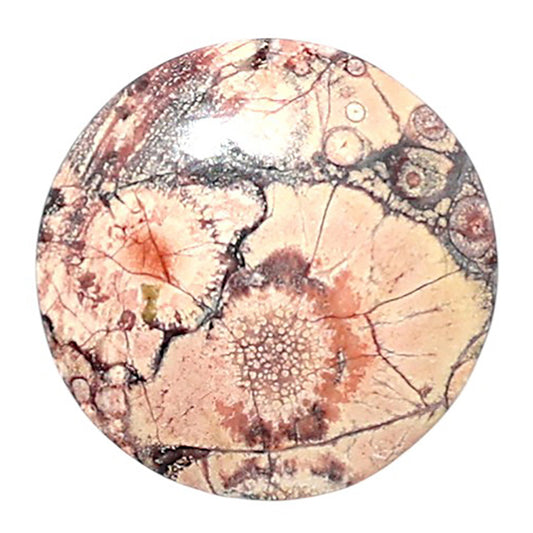 Mexican Bird Eye 16.5x16.5x3.8 mm Round Shape Polished Gemstone LS92-08446