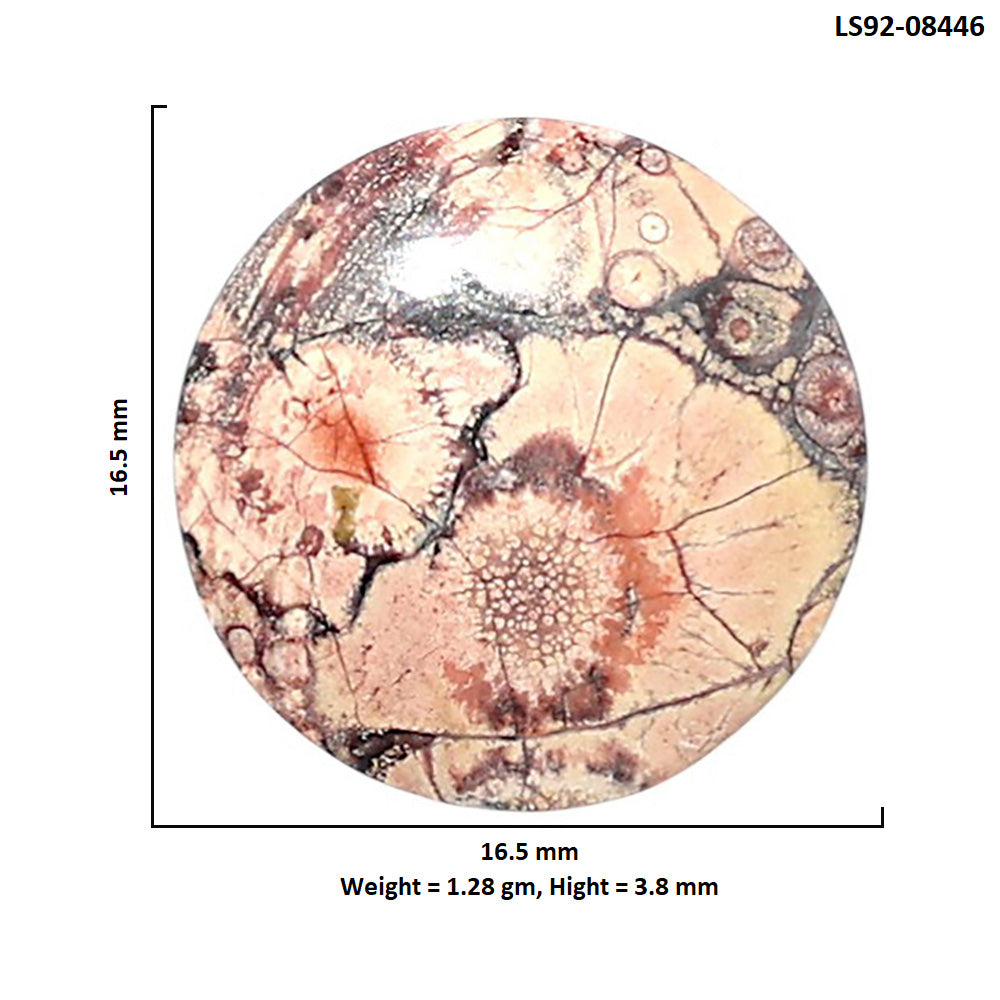 Mexican Bird Eye 16.5x16.5x3.8 mm Round Shape Polished Gemstone LS92-08446