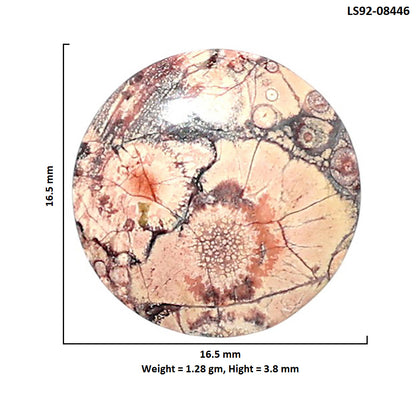Mexican Bird Eye 16.5x16.5x3.8 mm Round Shape Polished Gemstone LS92-08446