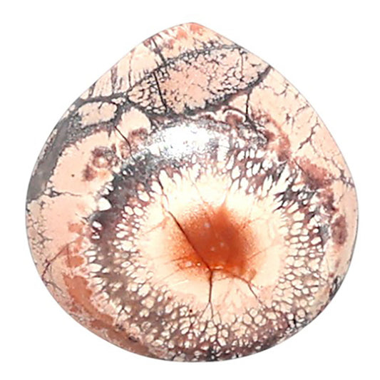 Mexican Bird Eye 15.7x16x4.4 mm Heart Shape Polished Gemstone LS92-08447