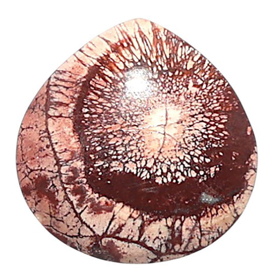 Mexican Bird Eye 15.6x16x3.7 mm Heart Shape Polished Gemstone LS92-08449
