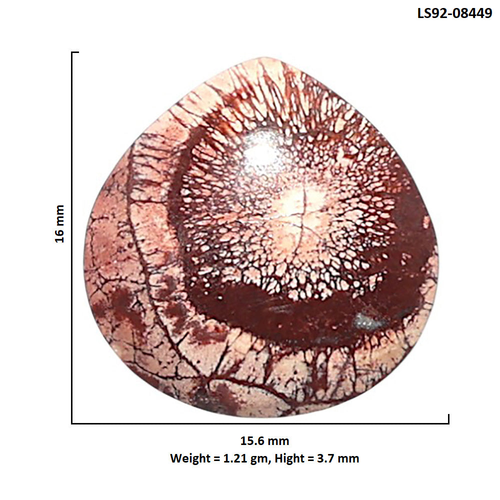 Mexican Bird Eye 15.6x16x3.7 mm Heart Shape Polished Gemstone LS92-08449