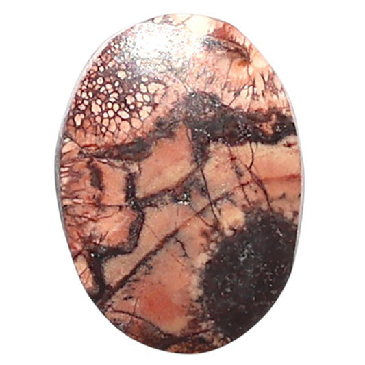 Mexican Bird Eye 12x16.4x4.2 mm Oval Shape Polished Gemstone LS92-08450