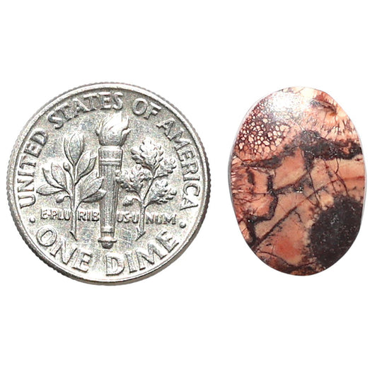 Mexican Bird Eye 12x16.4x4.2 mm Oval Shape Polished Gemstone LS92-08450