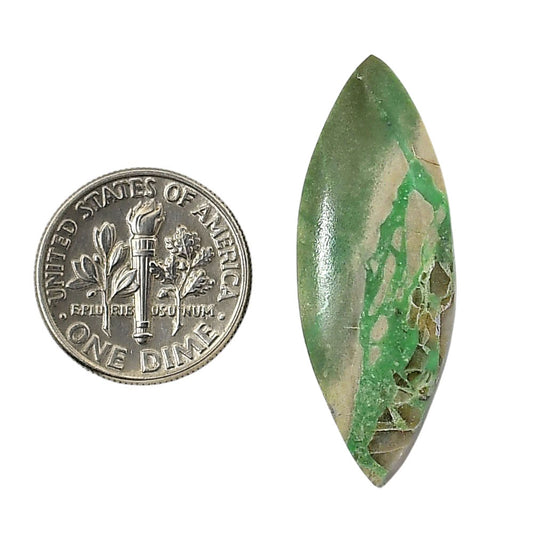 Utah Variscite 12.8x35.4x5.7 mm Marquise Shape Polished Gemstone LS93-05809