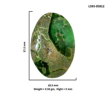 Utah Variscite 18.5x27.2x5 mm Oval Shape Polished Gemstone LS93-05812