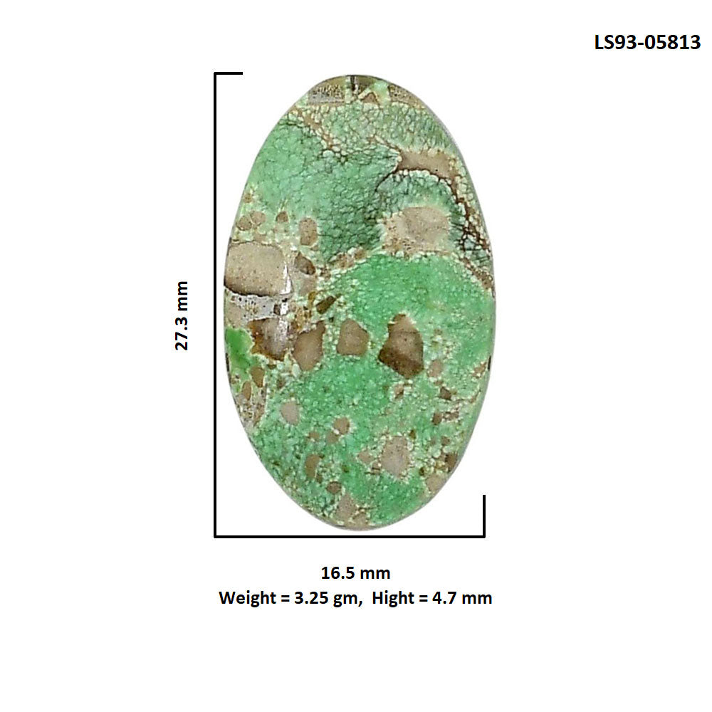 Utah Variscite 16.5x27.3x4.7 mm Oval Shape Polished Gemstone LS93-05813