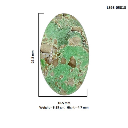 Utah Variscite 16.5x27.3x4.7 mm Oval Shape Polished Gemstone LS93-05813