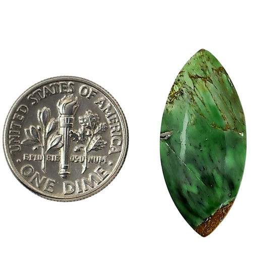 Utah Variscite 12.3x26.6x5.7 mm Marquise Shape Polished Gemstone LS93-05815