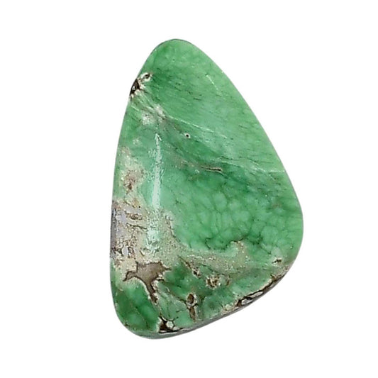 Utah Variscite 15.8x24.65x5.5 mm Fancy Shape Polished Gemstone LS93-05816
