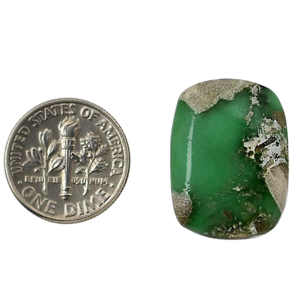 Utah Variscite 6.8x22.6x5.7 mm Cushion Shape Polished Gemstone LS93-05818