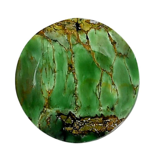 Utah Variscite 19.5x19.5x5 mm Round Shape Polished Gemstone LS93-05819