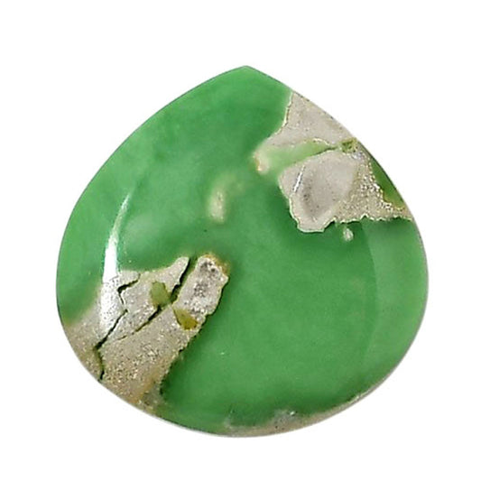 Utah Variscite 21x21x5 mm Heart Shape Polished Gemstone LS93-05824