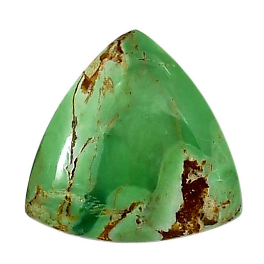 Utah Variscite 19.7x19.7x5 mm Fancy Shape Polished Gemstone LS93-05825