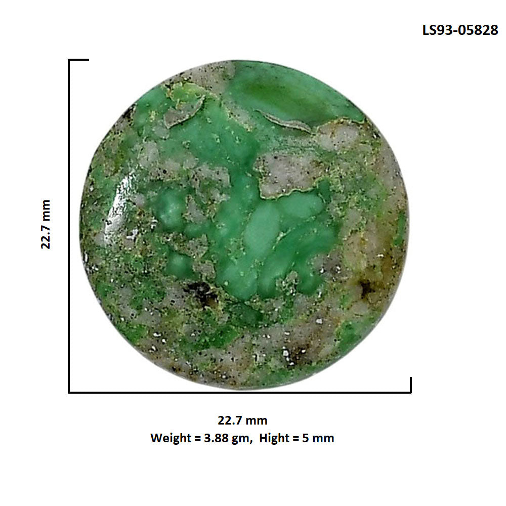 Utah Variscite 22.7x22.7x5 mm Round Shape Polished Gemstone LS93-05828
