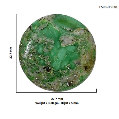 Utah Variscite 22.7x22.7x5 mm Round Shape Polished Gemstone LS93-05828
