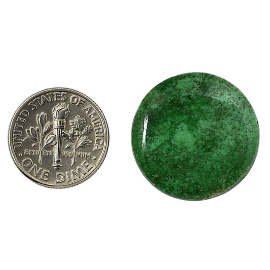 Utah Variscite 22.7x22.7x4.3 mm Round Shape Polished Gemstone LS93-05829