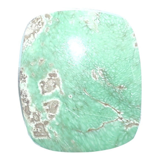 Utah Variscite 20x23.2x6 mm Cushion Shape Polished Gemstone LS93-07932