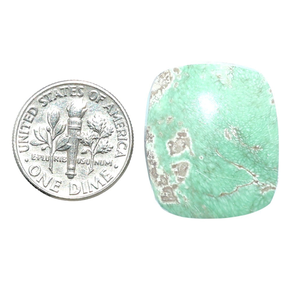 Utah Variscite 20x23.2x6 mm Cushion Shape Polished Gemstone LS93-07932