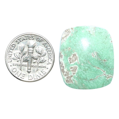 Utah Variscite 20x23.2x6 mm Cushion Shape Polished Gemstone LS93-07932