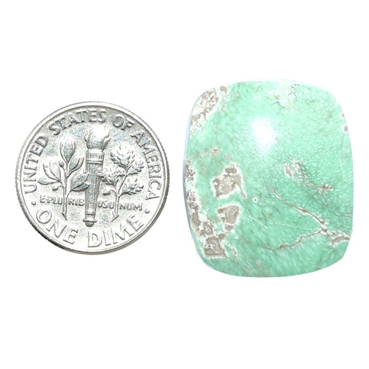 Utah Variscite 20x23.2x6 mm Cushion Shape Polished Gemstone LS93-07932