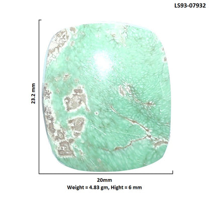 Utah Variscite 20x23.2x6 mm Cushion Shape Polished Gemstone LS93-07932