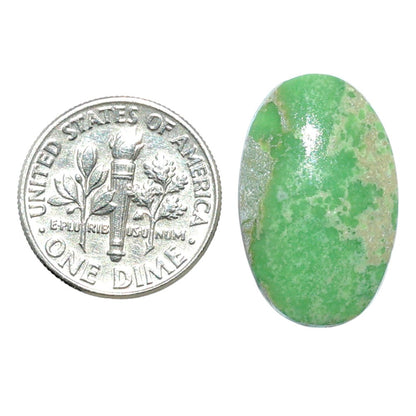 Utah Variscite 14.1x22.5x4 mm Oval Shape Polished Gemstone LS93-07935