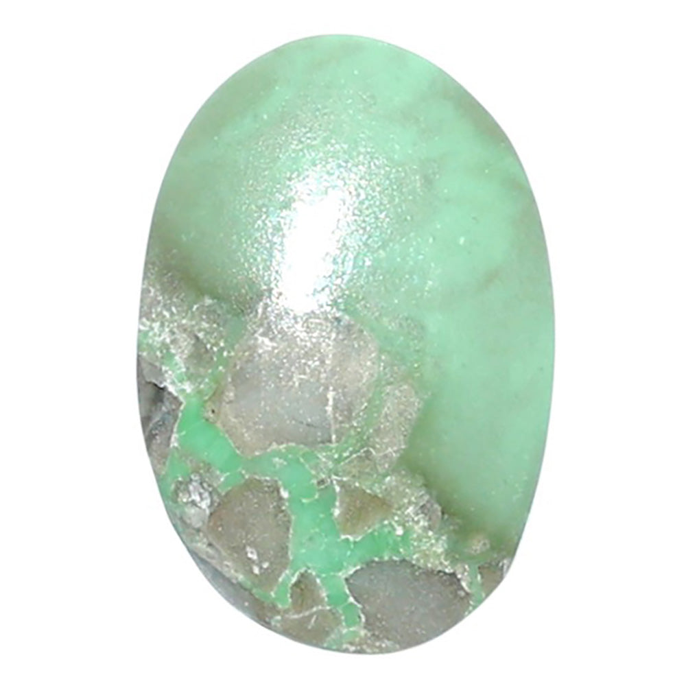 Utah Variscite 13.7x20.2x5.5 mm Oval Shape Polished Gemstone LS93-07938