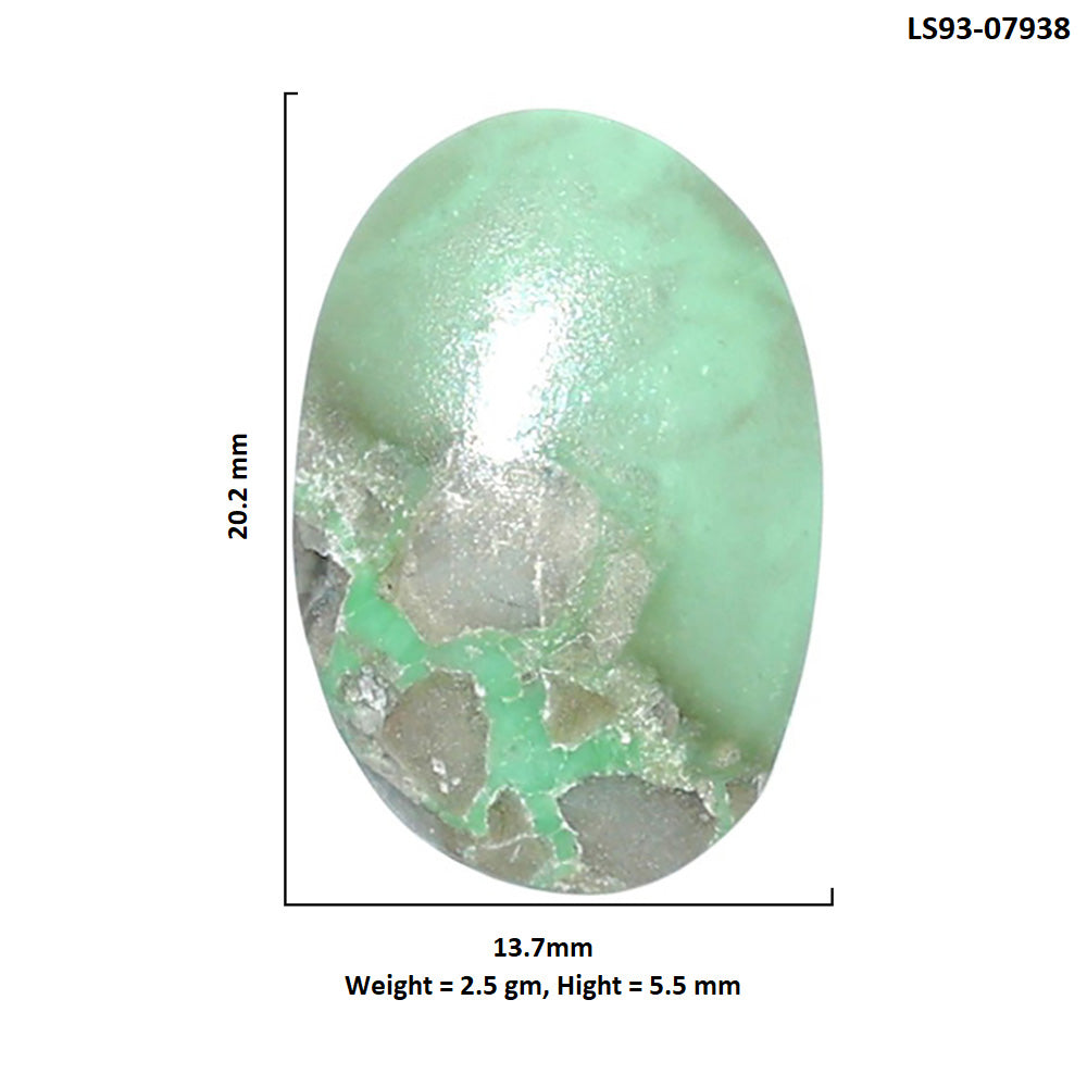 Utah Variscite 13.7x20.2x5.5 mm Oval Shape Polished Gemstone LS93-07938