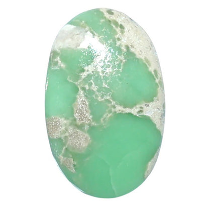 Utah Variscite 12.7x20.2x5 mm Oval Shape Polished Gemstone LS93-07941
