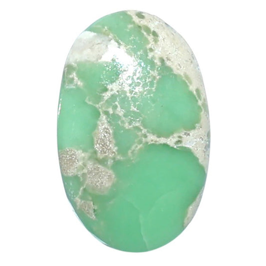 Utah Variscite 12.7x20.2x5 mm Oval Shape Polished Gemstone LS93-07941