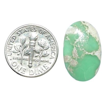 Utah Variscite 12.7x20.2x5 mm Oval Shape Polished Gemstone LS93-07941
