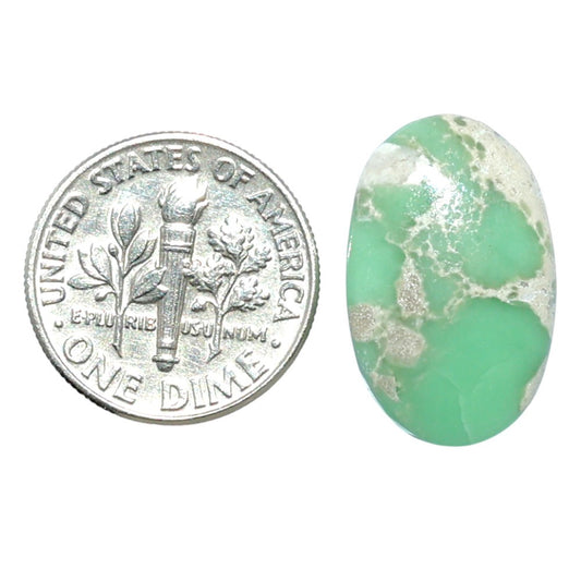 Utah Variscite 12.7x20.2x5 mm Oval Shape Polished Gemstone LS93-07941