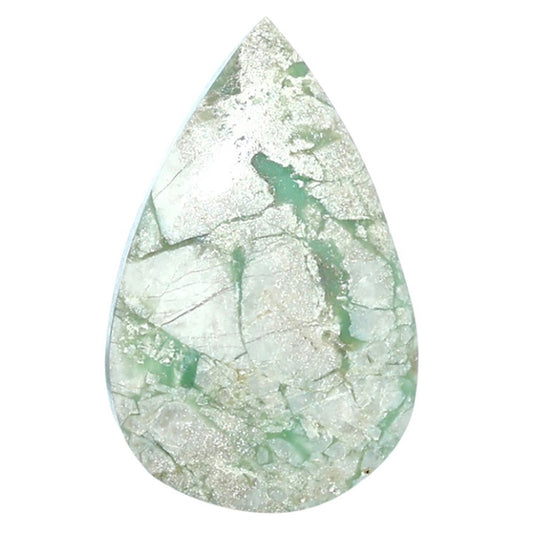Utah Variscite 18.8x29.85x5 mm Pear Shape Polished Gemstone LS93-07943